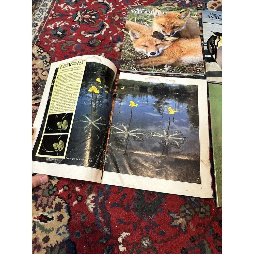 Lot of 4 Vintage National Wildlife Federation Magazines 1984 1985 1990